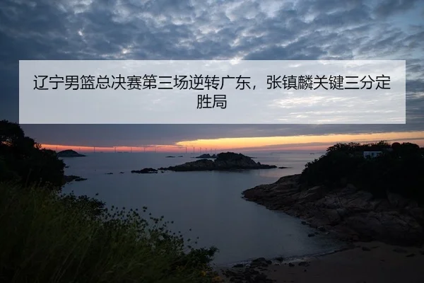 liao-ning-nan-lan-zong-jue-sai-di-san-chang-ni-zhuan-guang-dong-zhang-zhen-lin-guan-jian-san-fen-ding-sheng-ju-2-717.jpg